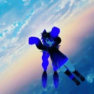 Meet your Posher, Korbyn